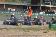 DSC_0379 (2)